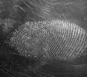 A fingerprint